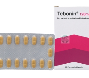 TEBONIN 120MG